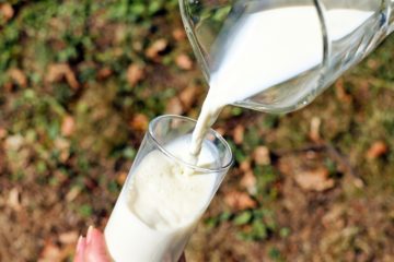Zdravotné problémy pri pití mlieka